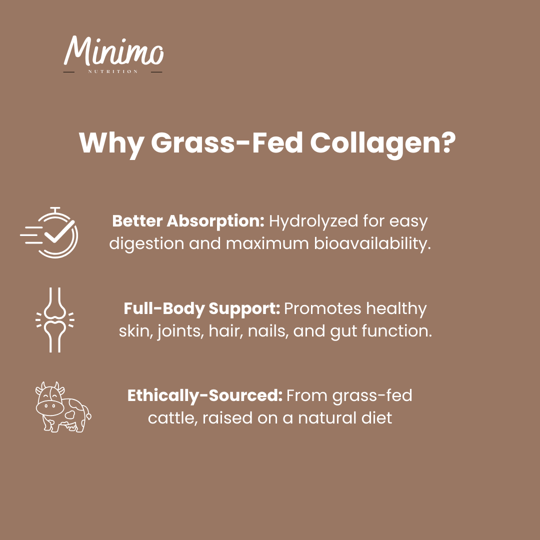 Grass-Fed Collagen Peptides Powder (Chocolate), 13.3 oz. by Minimo Nutrition