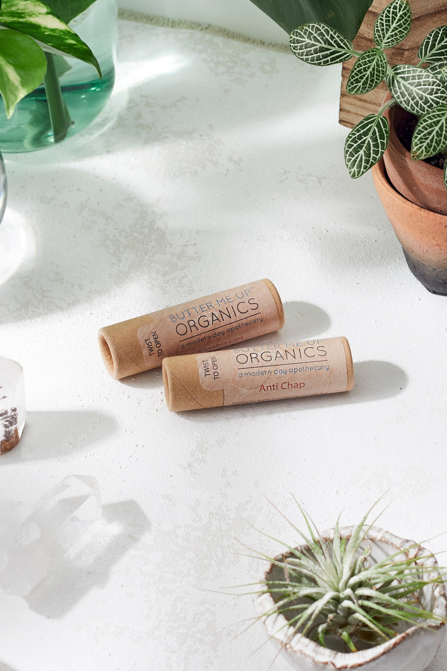 Organic Anti-Chap Lip Balm / Chapped Lips / Organic Lip Moisturizer / PAPERBOARD Tube by Butter Me Up Organics