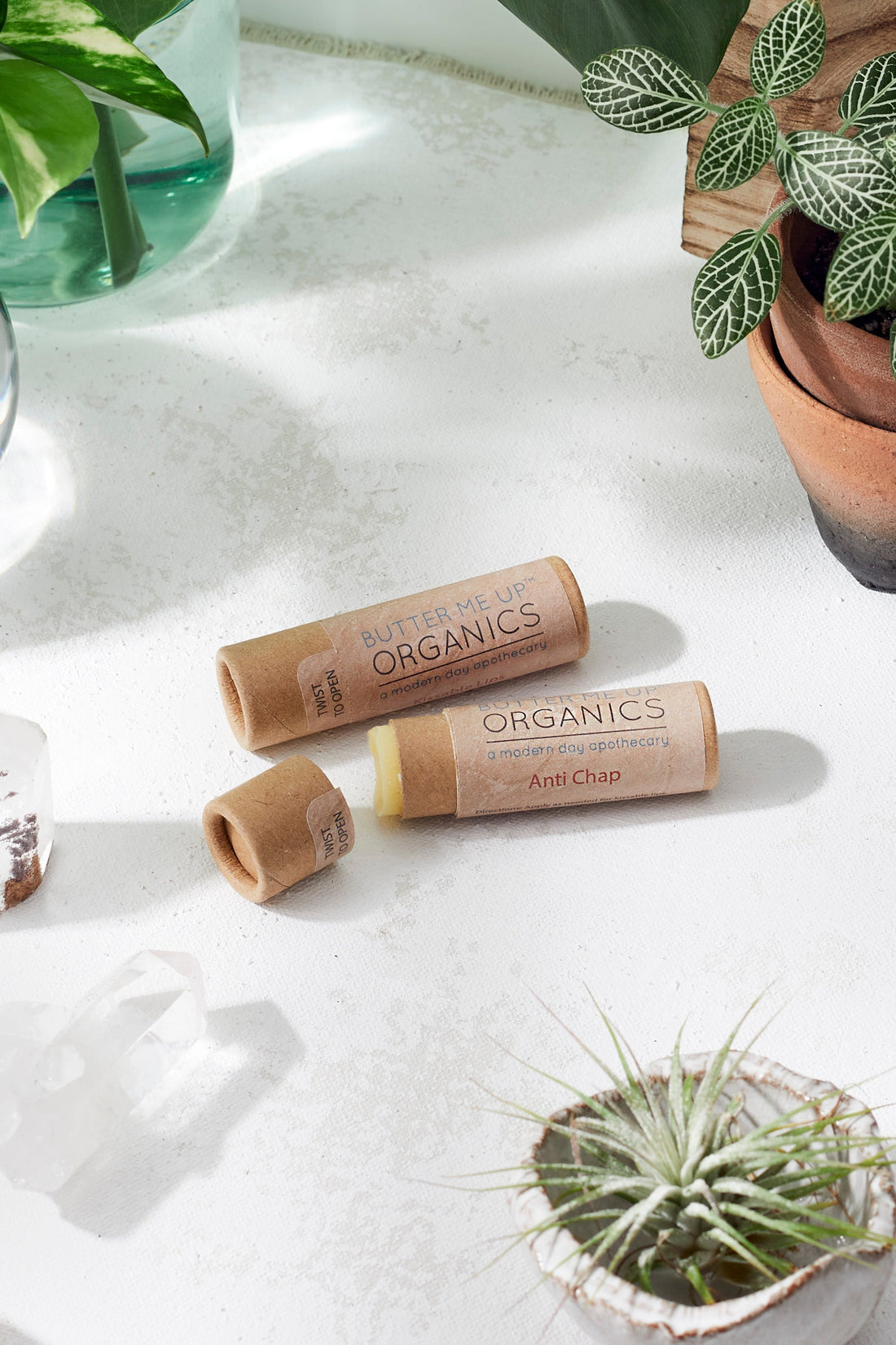 Organic Anti-Chap Lip Balm / Chapped Lips / Organic Lip Moisturizer / PAPERBOARD Tube by Butter Me Up Organics