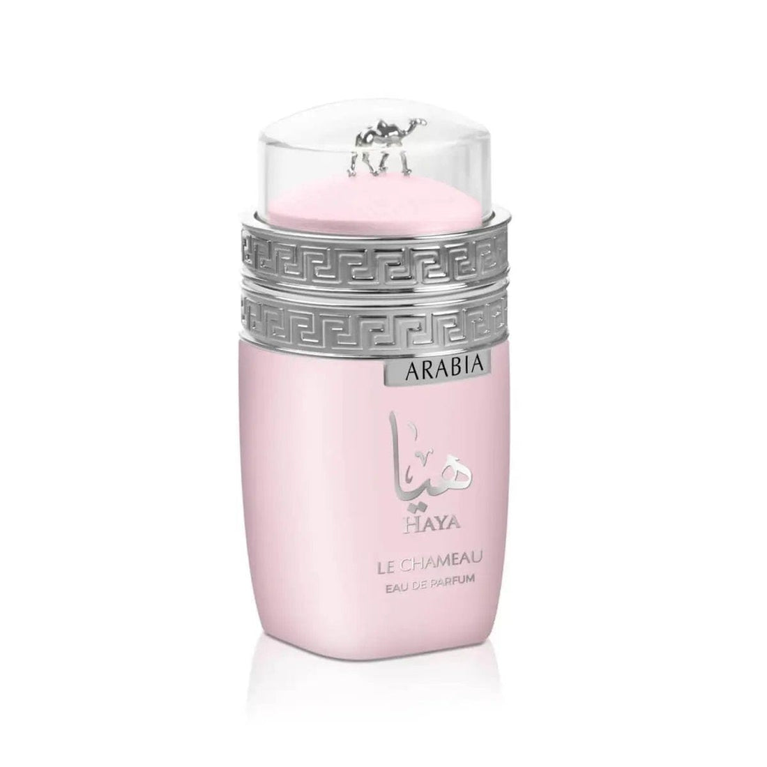 Arabia Haya By Le Chameau For Unisex 3.4oz EDP Spray by perfumesandrea