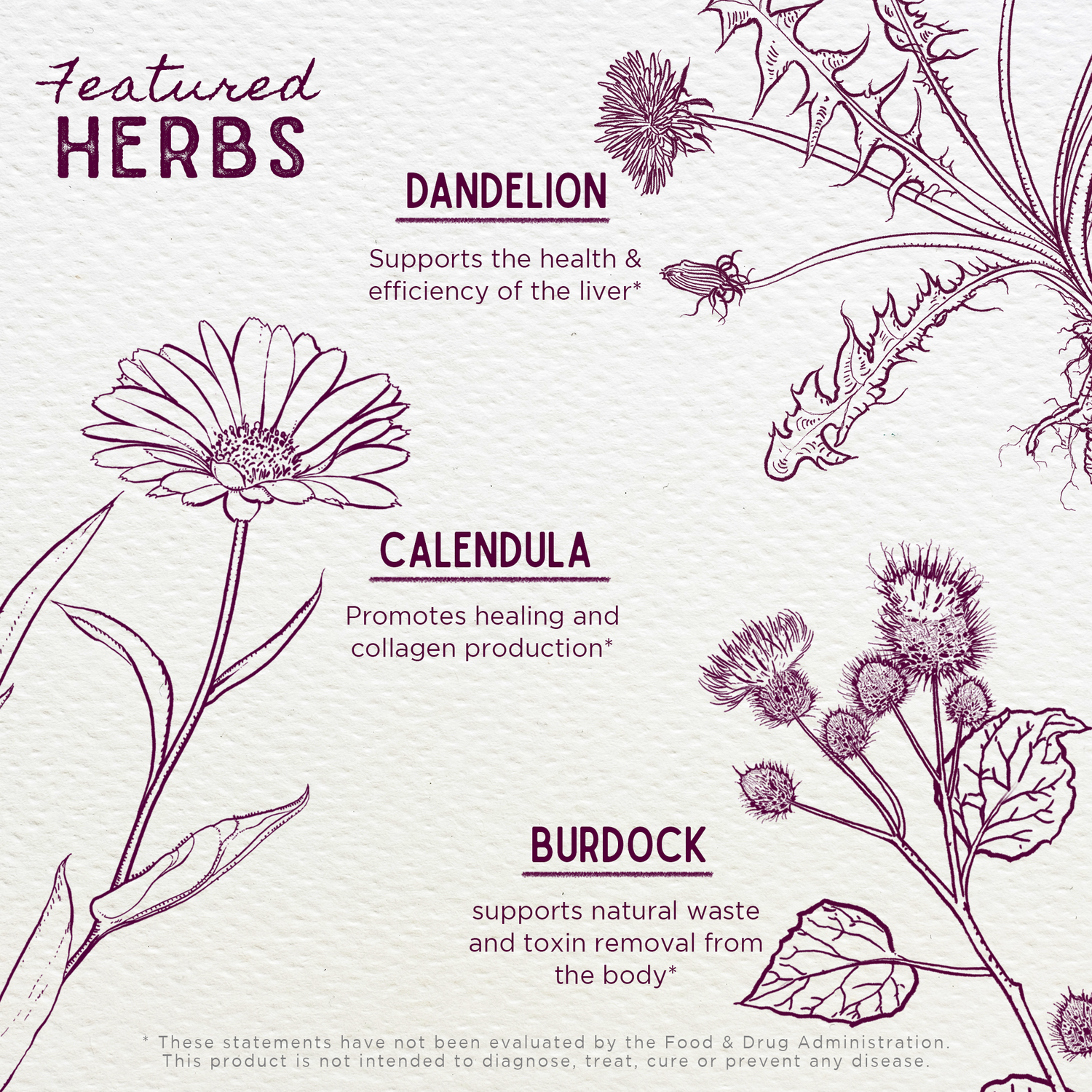 Clear Complexion, Blemish Control by WishGarden Herbs