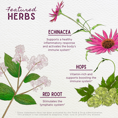 Kick-Ass Biotic, Immune Force by WishGarden Herbs