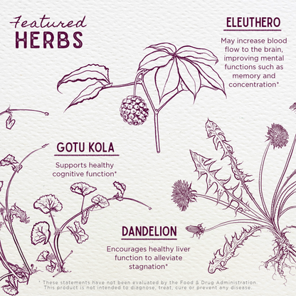 Genius Juice, Cognitive Aid by WishGarden Herbs