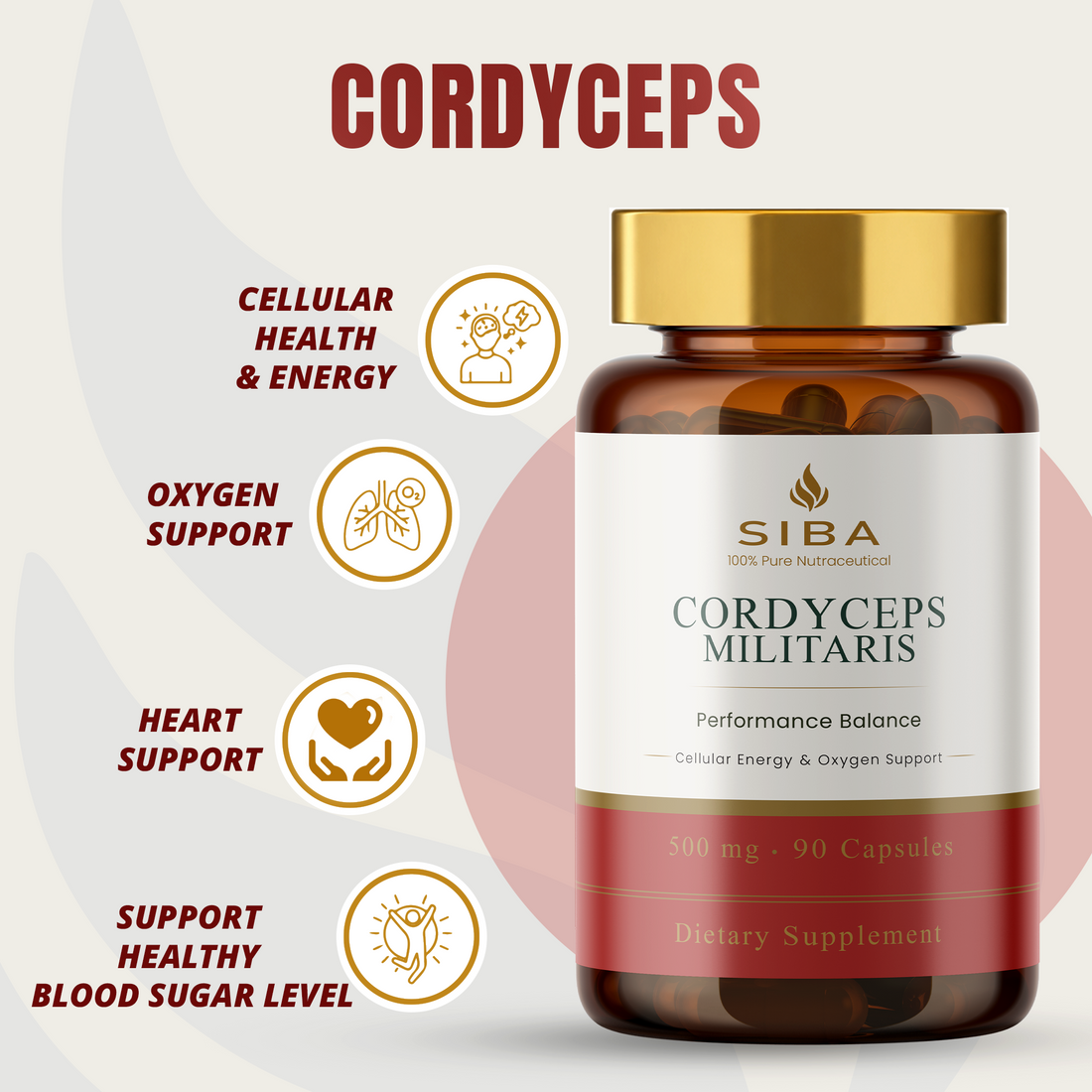 Cordyceps Militaris Mushroom Capsules by Siba Vitamins Store