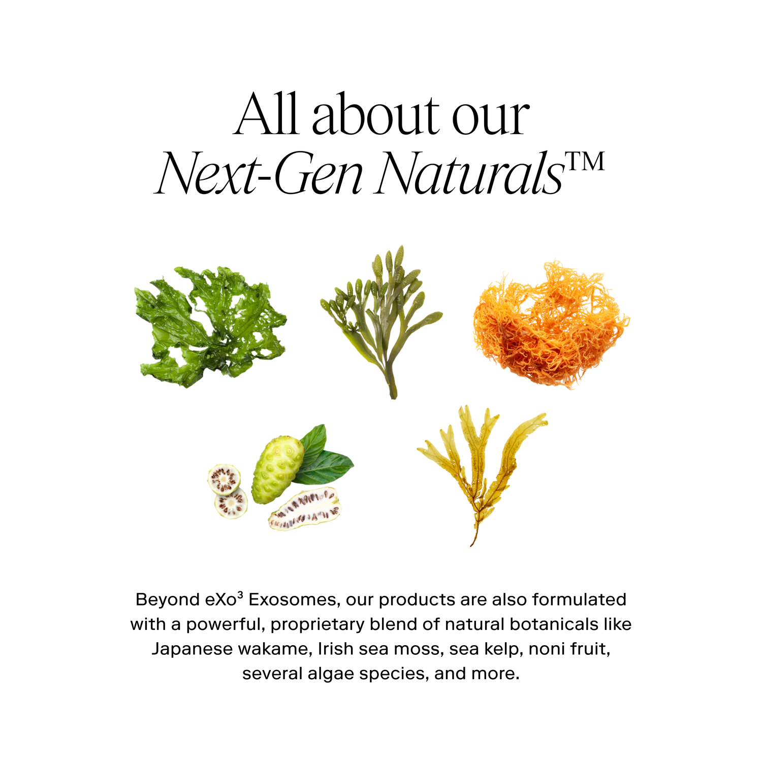 EXO BODY™ Advanced Body Lotion by Exoceuticals