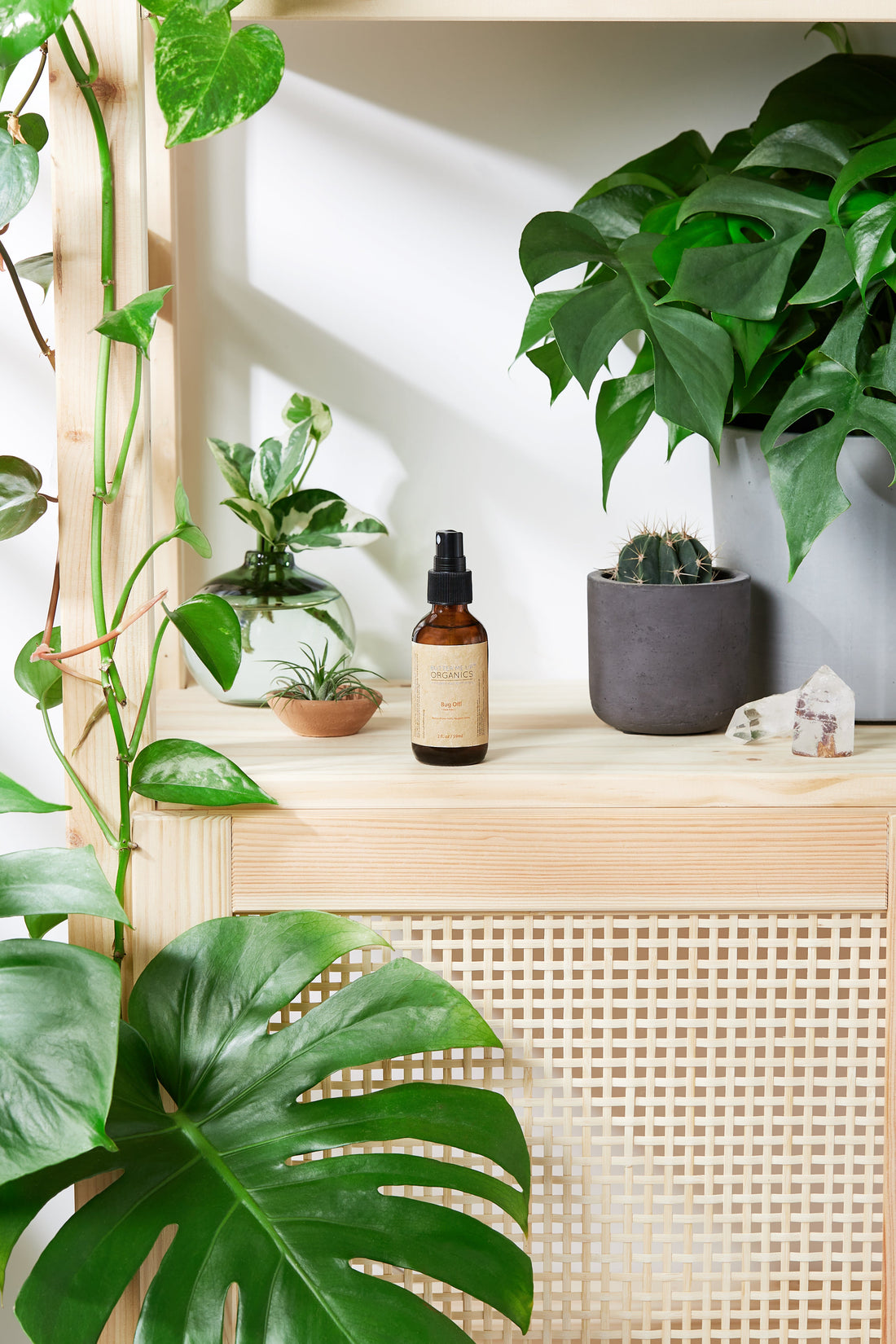 Organic Bug Spray / Mosquito Repellant / by Butter Me Up Organics