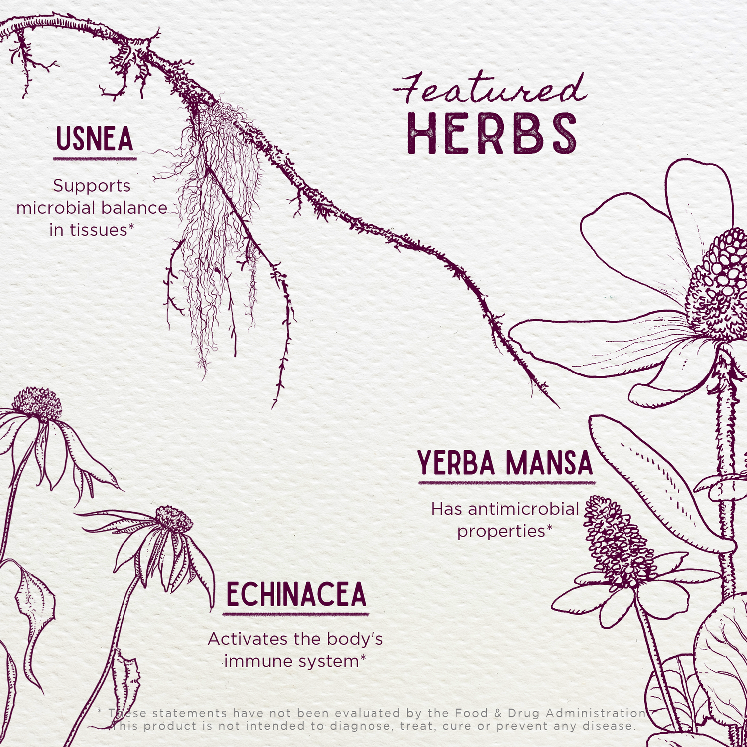 Candida Rescue, Microbiome Stabilizer by WishGarden Herbs