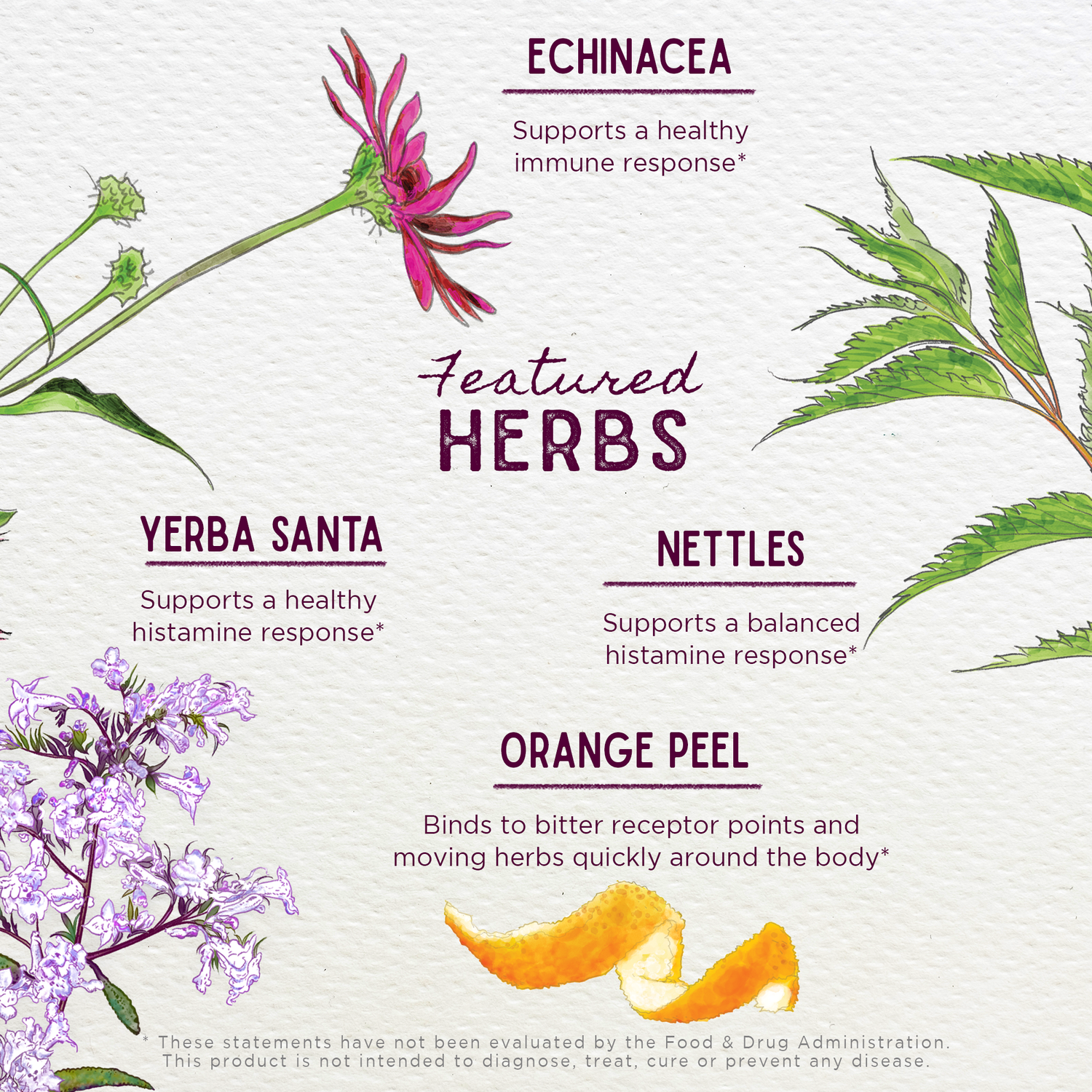 Kick-Ass Allergy &amp; Sinus, Soother by WishGarden Herbs