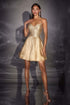 Ladivine CD2422 Fit and Flare Short Homecoming A-Line Dress by DiscountDressShop