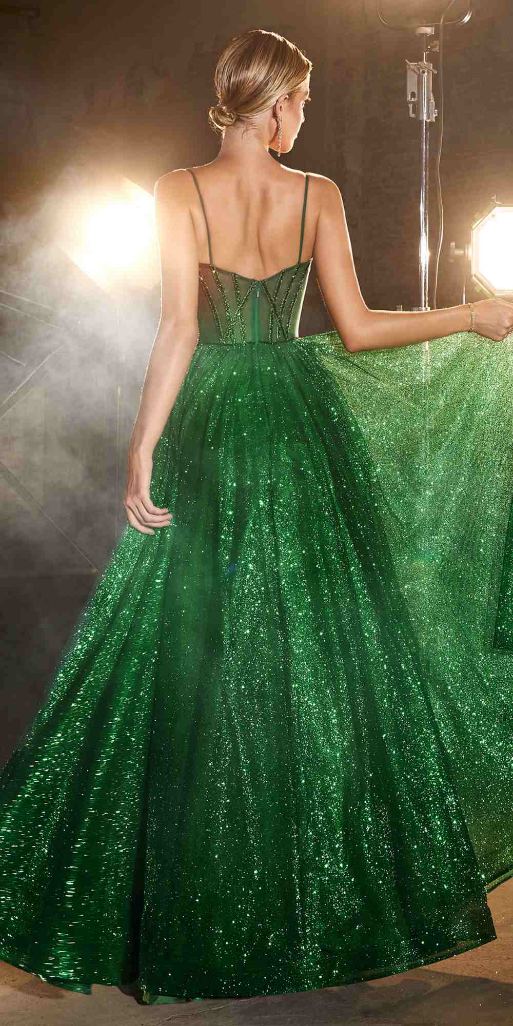 Ladivine CD832 Long Sheer Boned Bodice Glitter Flock Ball Gown by DiscountDressShop