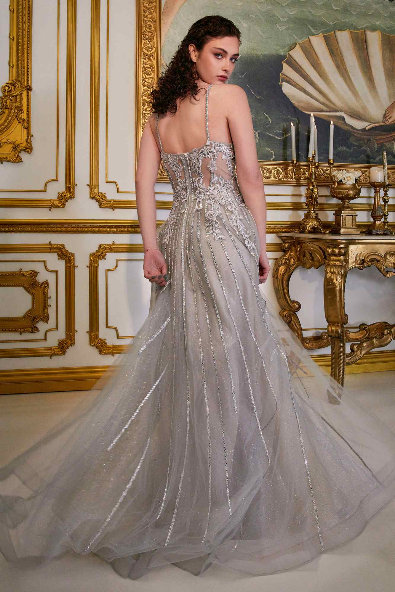 Cinderella Divine CD994 Long A-Line Beaded Tulle Gown Lace Detail V-Neck by DiscountDressShop