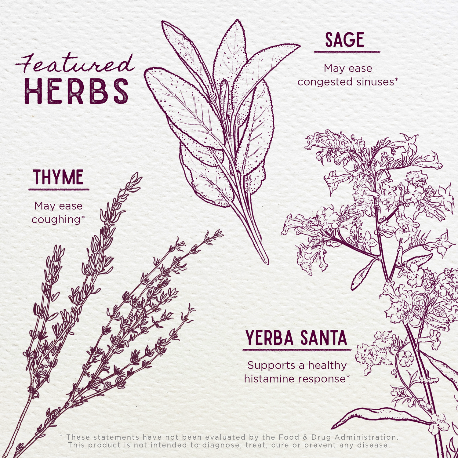 Congestion Rescue, Immune Support for Kids by WishGarden Herbs