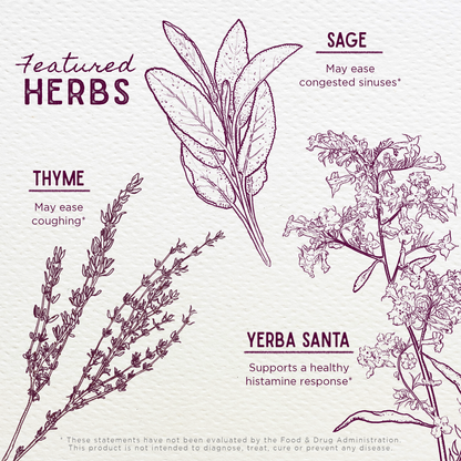 Congestion Rescue, Immune Support for Kids by WishGarden Herbs