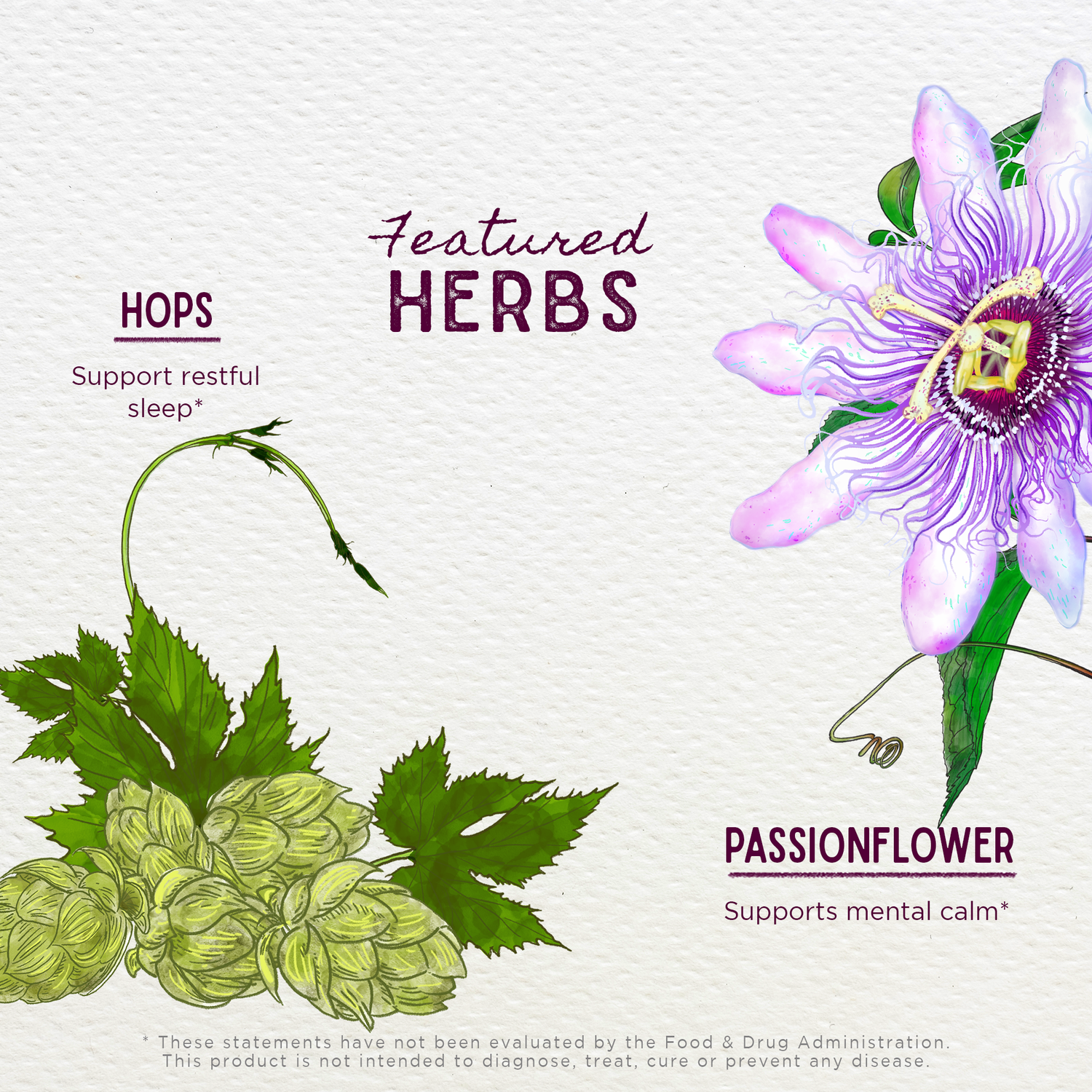 Serious PM Cough, Soothing Syrup by WishGarden Herbs