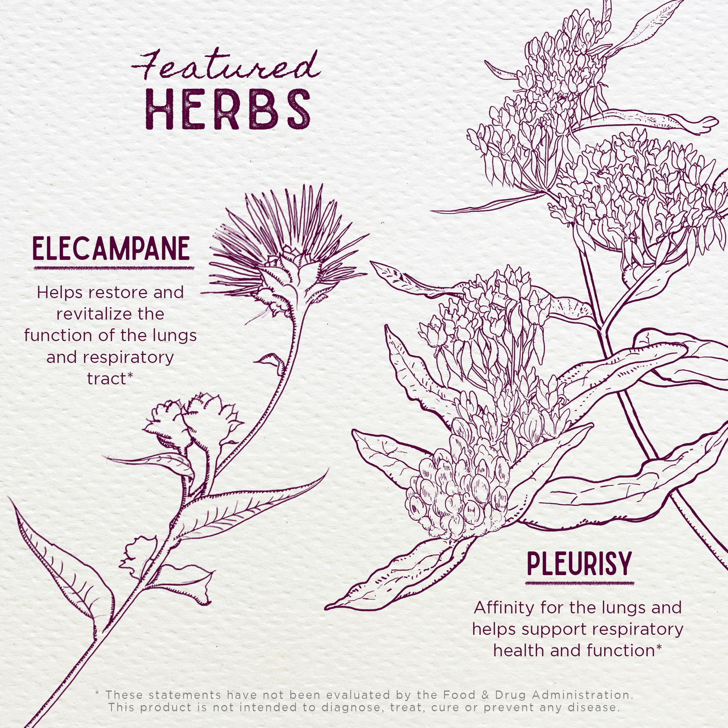 Serious Cough, Soothing &amp; Quieting by WishGarden Herbs