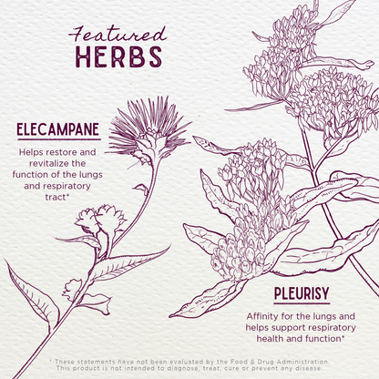 Serious Cough, Soothing &amp; Quieting by WishGarden Herbs