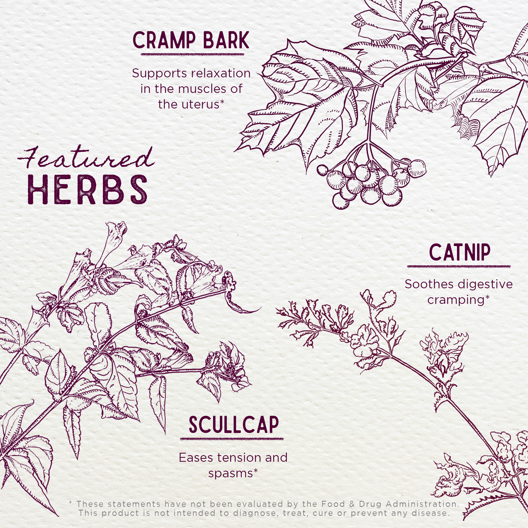 Cramp Release, Menses Soother by WishGarden Herbs