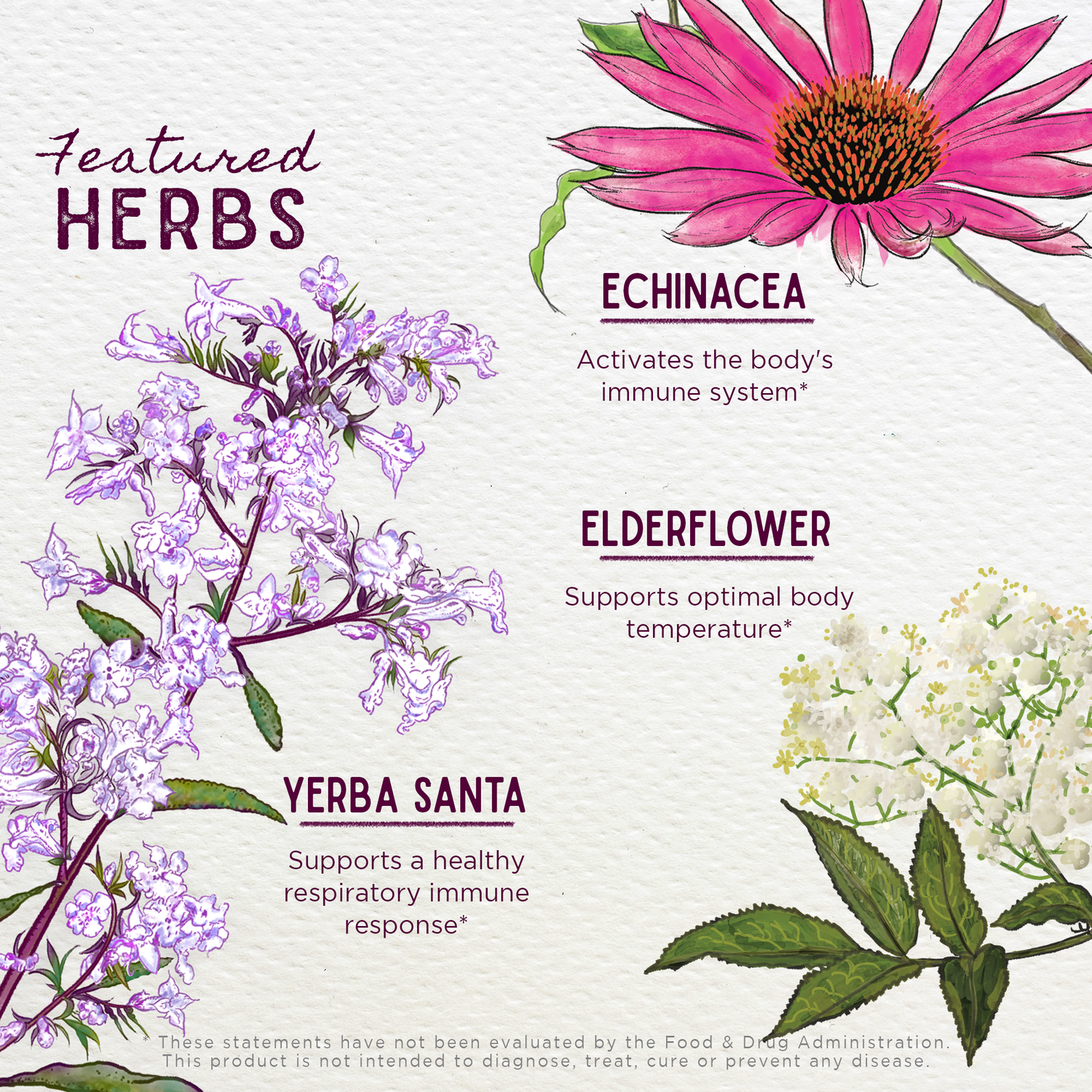Congestion Rescue, Immune Support for Pregnancy by WishGarden Herbs