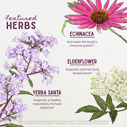 Congestion Rescue, Immune Support for Pregnancy by WishGarden Herbs