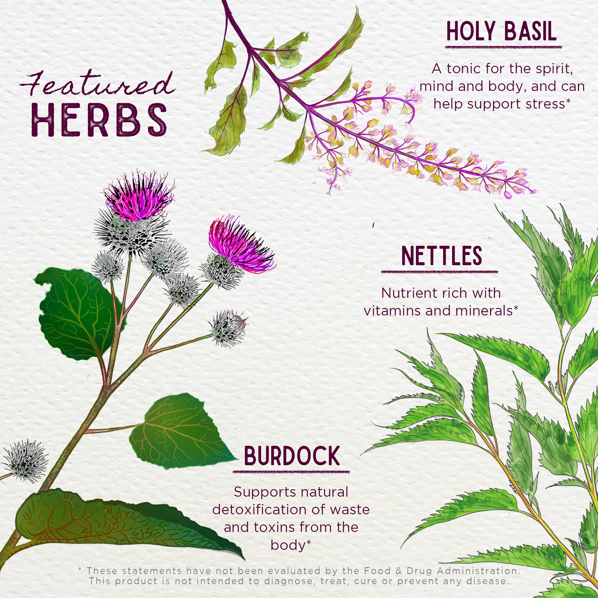 Cycle Changes, Peri/Menopause by WishGarden Herbs