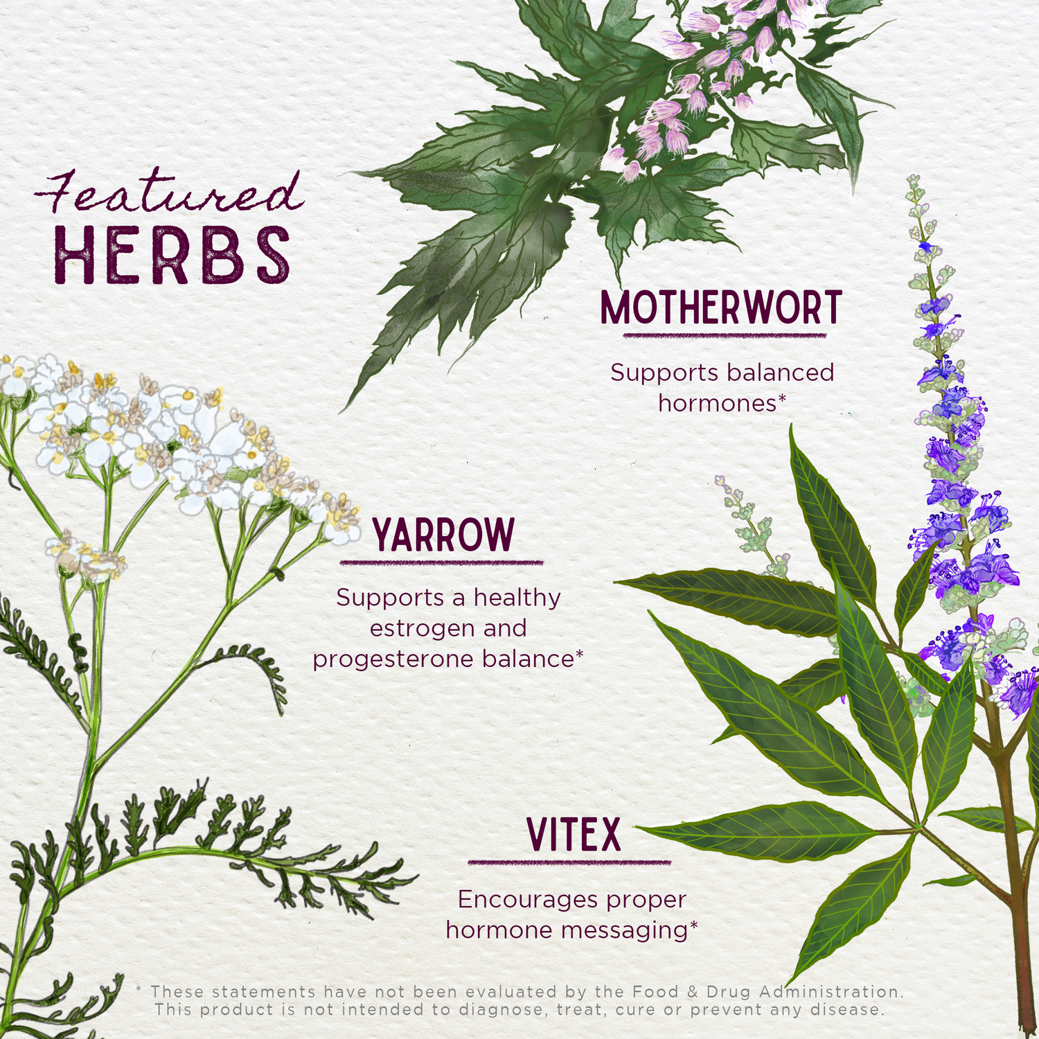 Cycle Harmony, Hormone Support by WishGarden Herbs