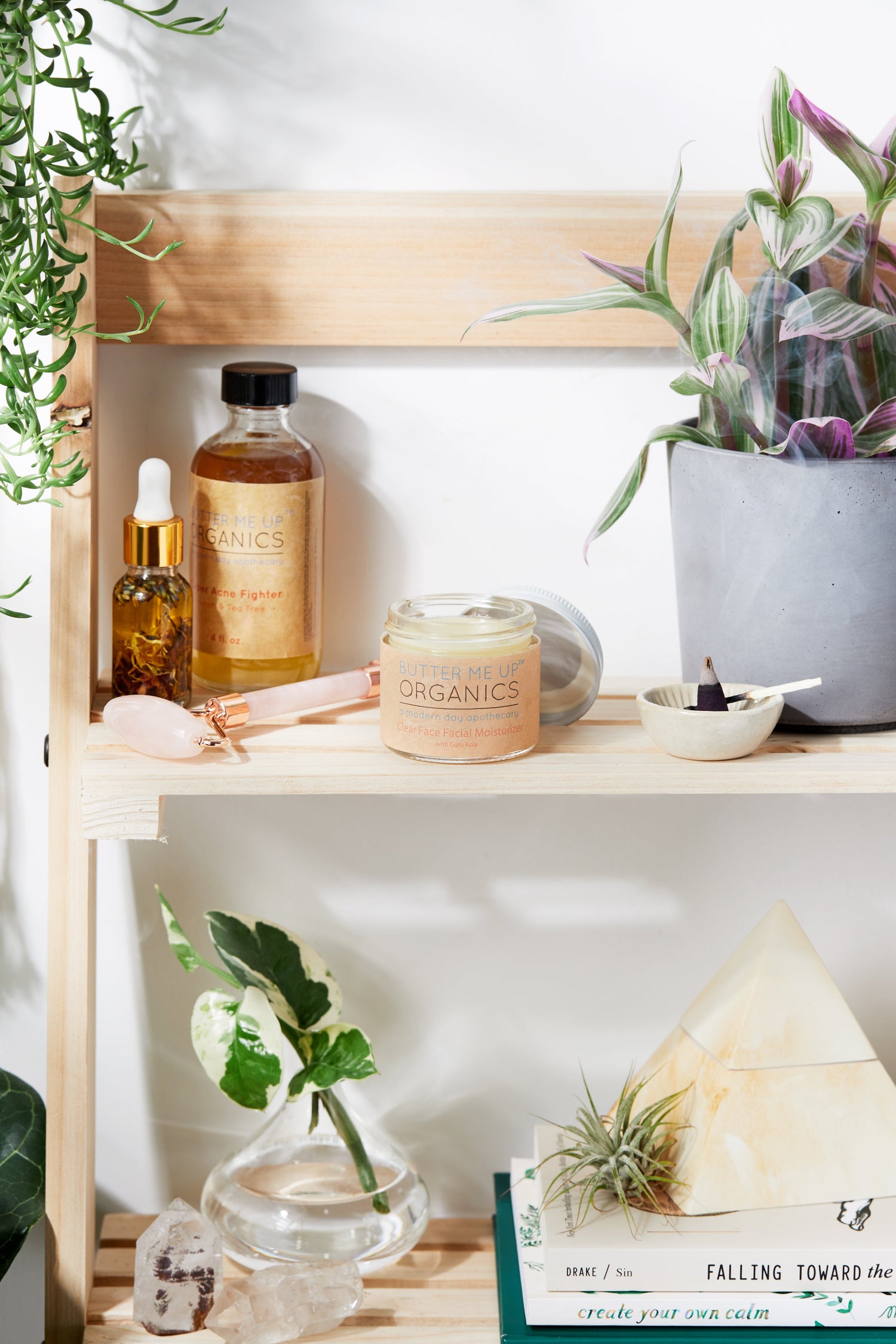 Clear Face Moisturizer / Face Cream Facial Moisturizer Organic by Butter Me Up Organics