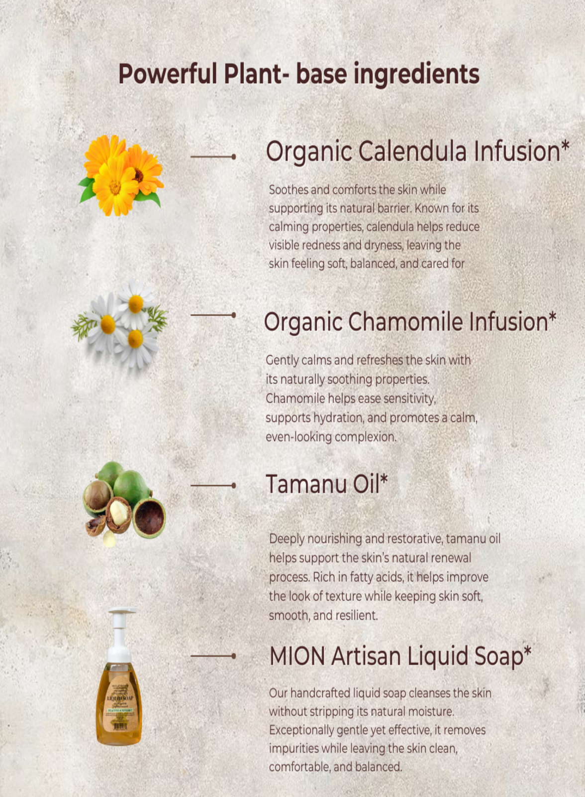 Face Wash Refill | with Rose Hip and Tamanu Oils by MION Artisan Soap Co.