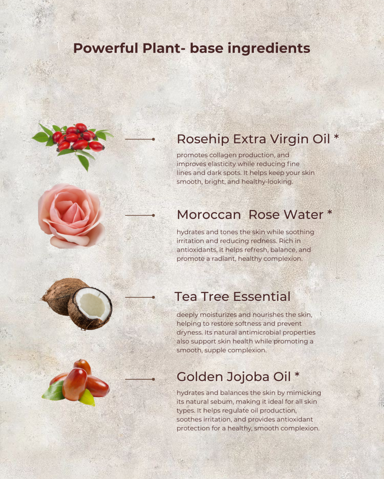 Rosehip Anti-Wrinkle Face Cream | Light Texture | Rich in Vitamins A &amp; C by MION Artisan Soap Co.