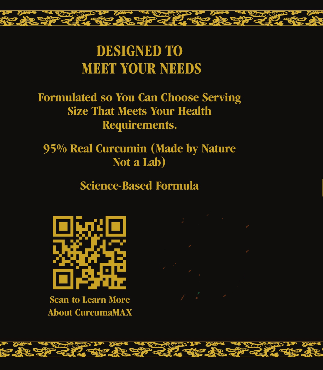 CurcumaMAX Fermented Turmeric Powder Feel the Transformative Power Enhanced with Additional Curcumin by America&