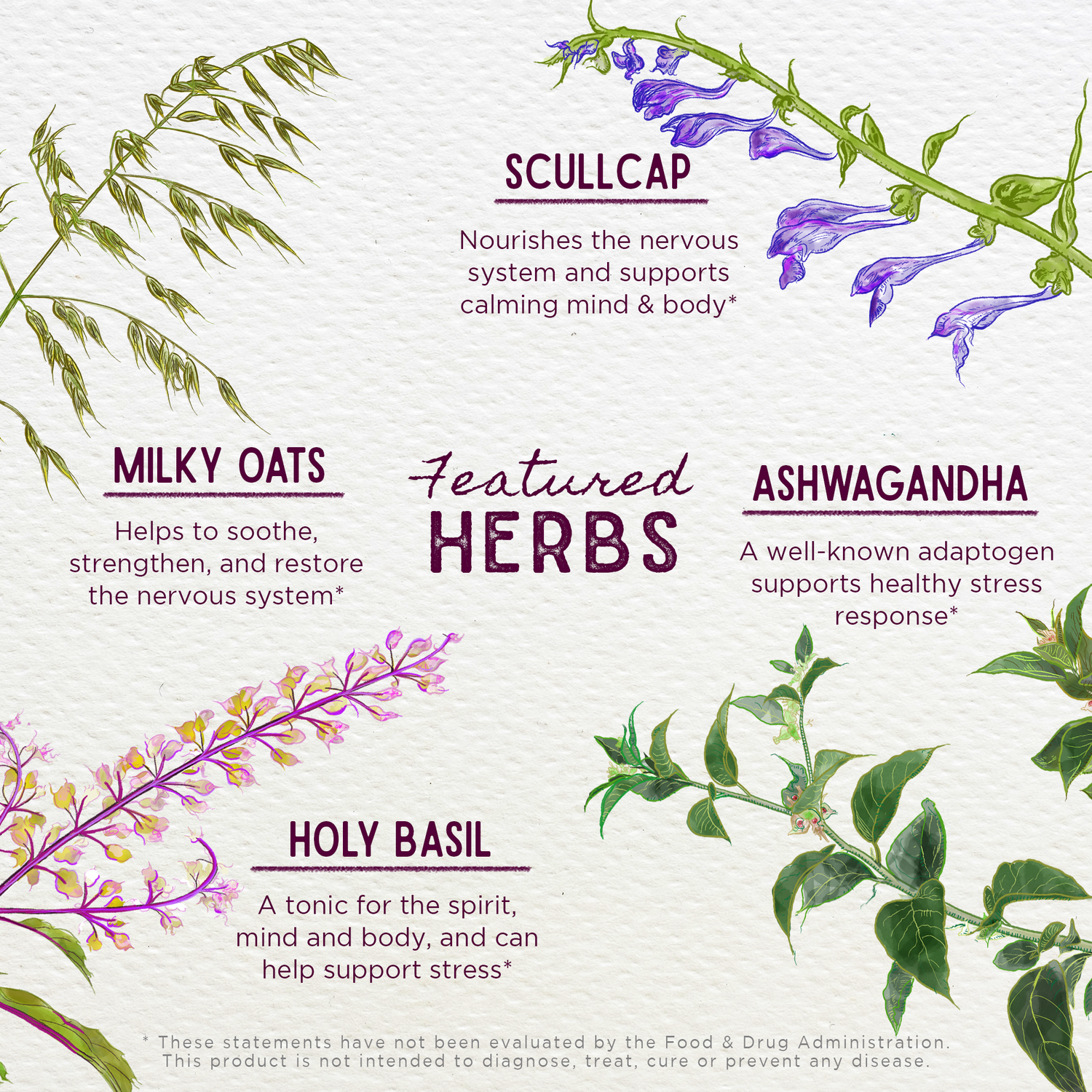 Deep Stress, Daily Calm by WishGarden Herbs