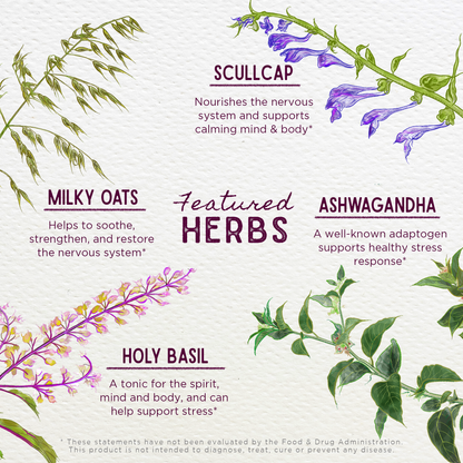Deep Stress, Daily Calm by WishGarden Herbs