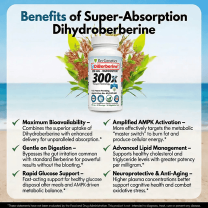 DiBerberine 300x: Dihydro Berberine Enteric + 300x Patent Pending Booster by RevGenetics