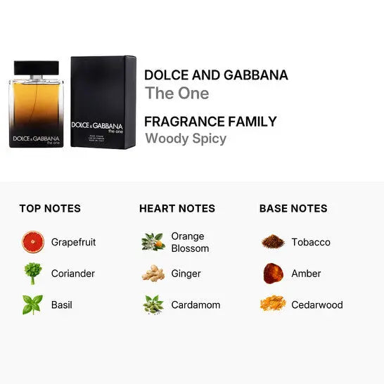 Dolce &amp; Gabbana The One 5.0 oz M EDP Spray by perfumesandrea