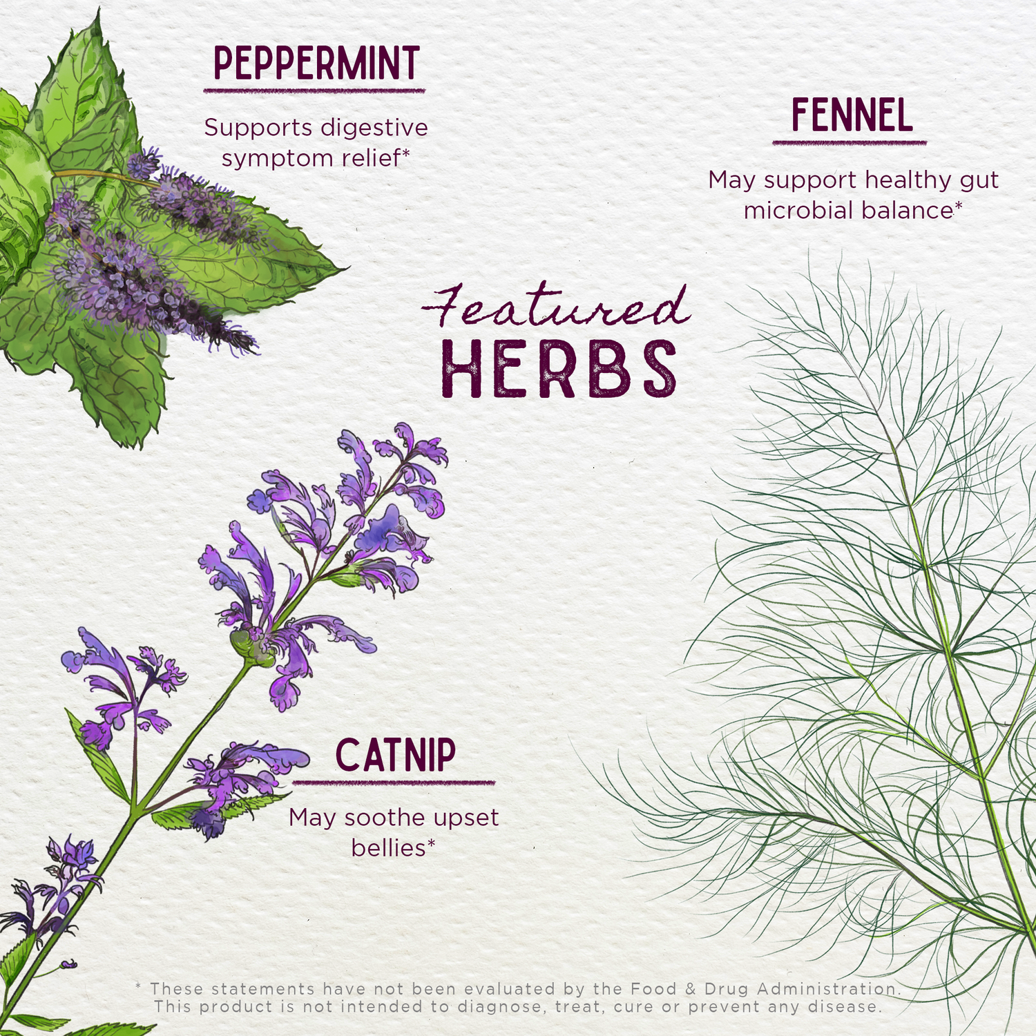 Colic Ease, Infant Comfort by WishGarden Herbs