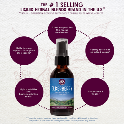 Elderberry by WishGarden Herbs