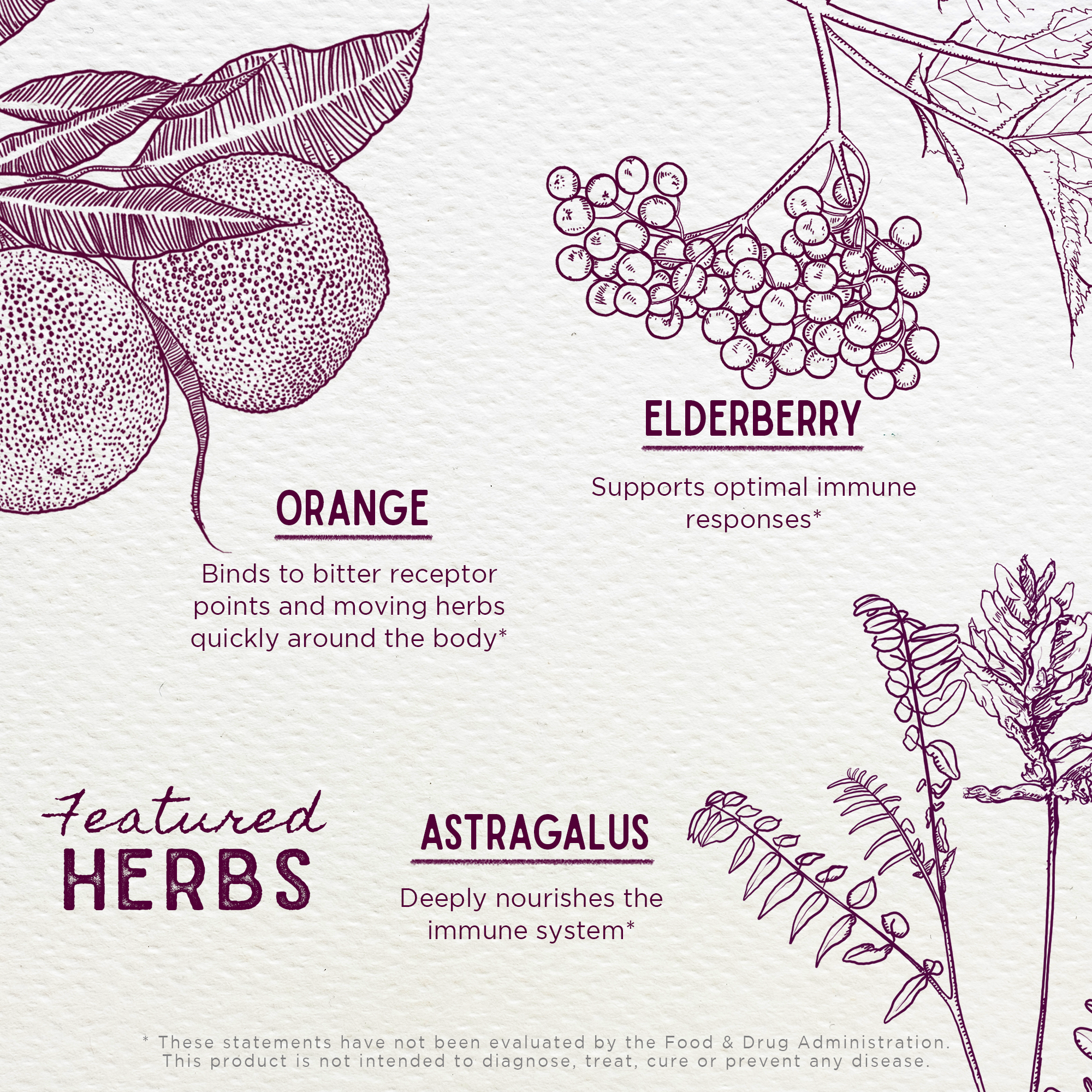 Elderberry Syrup, Everyday Immunity for Kids by WishGarden Herbs