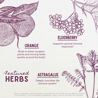 Elderberry Syrup, Everyday Immunity for Kids by WishGarden Herbs