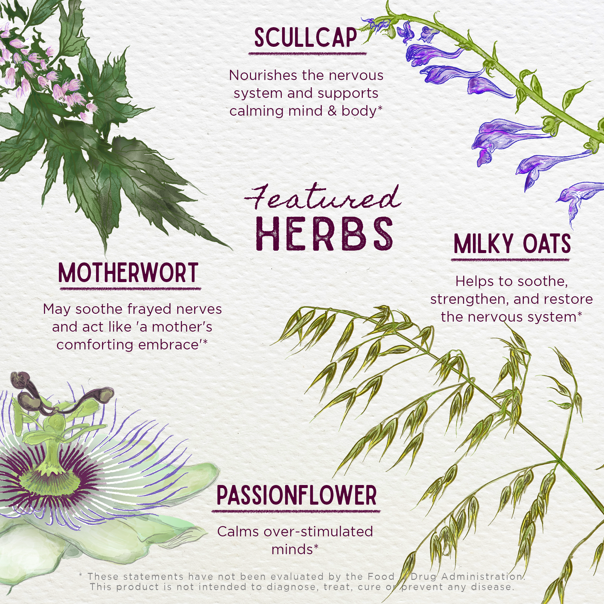 Emotional Ally, A Big Herbal Hug by WishGarden Herbs