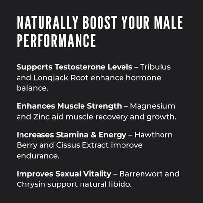 ERECTONINMD TESTOSTERONE SUPPORT COMPLEX by RevitMe - Supplements Store