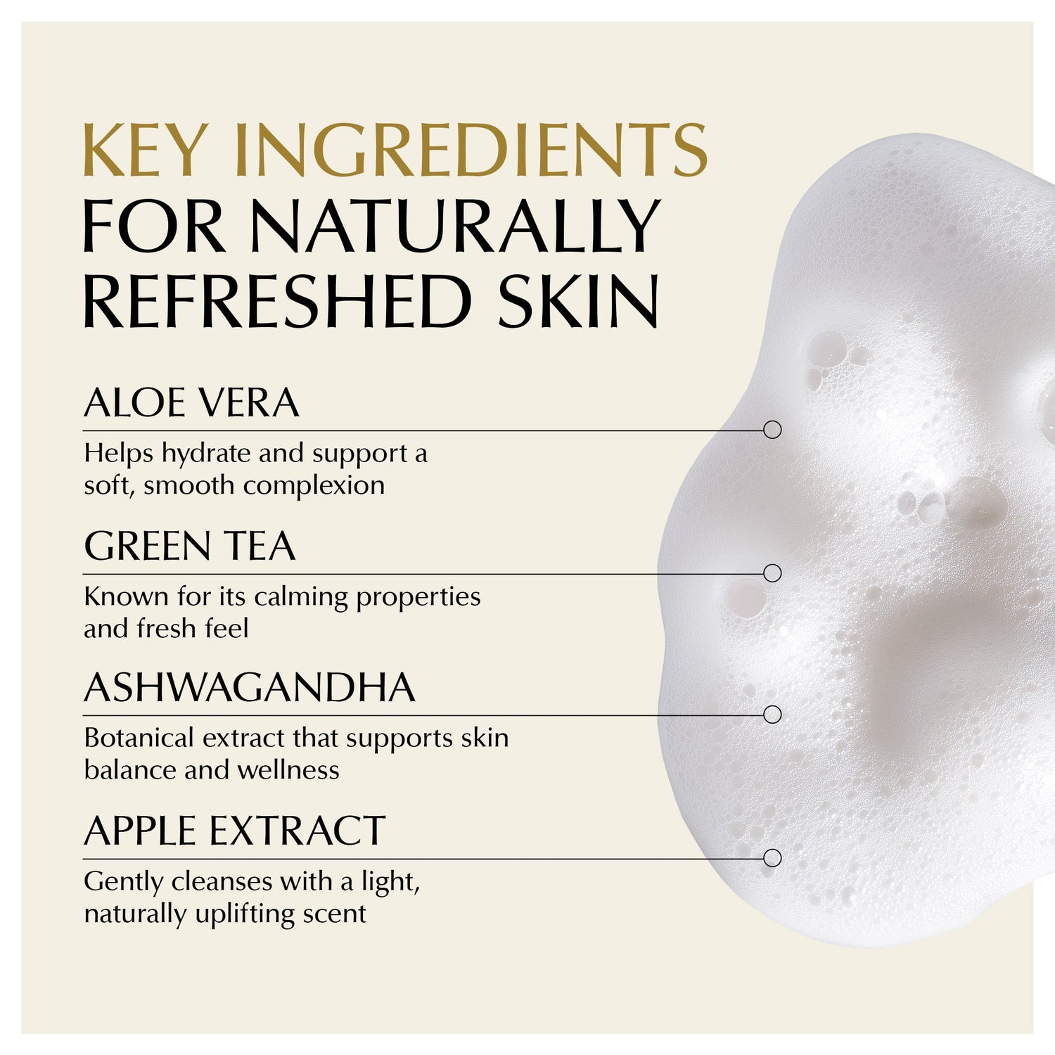 Gentle Foaming Facial Cleanser – Aloe, Apple &amp; Ashwagandha for All Skin Types