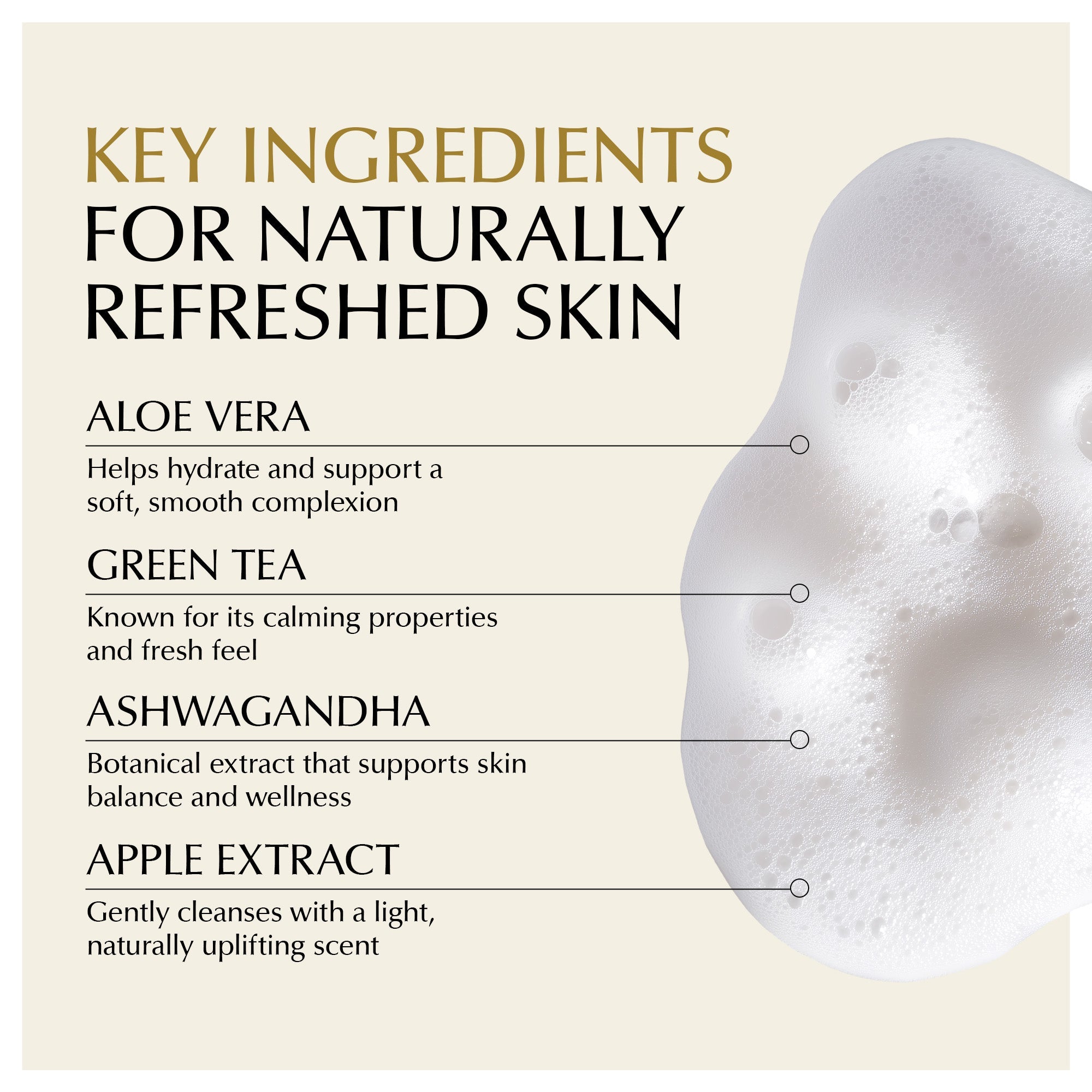 Gentle Foaming Facial Cleanser – Aloe, Apple &amp; Ashwagandha for All Skin Types