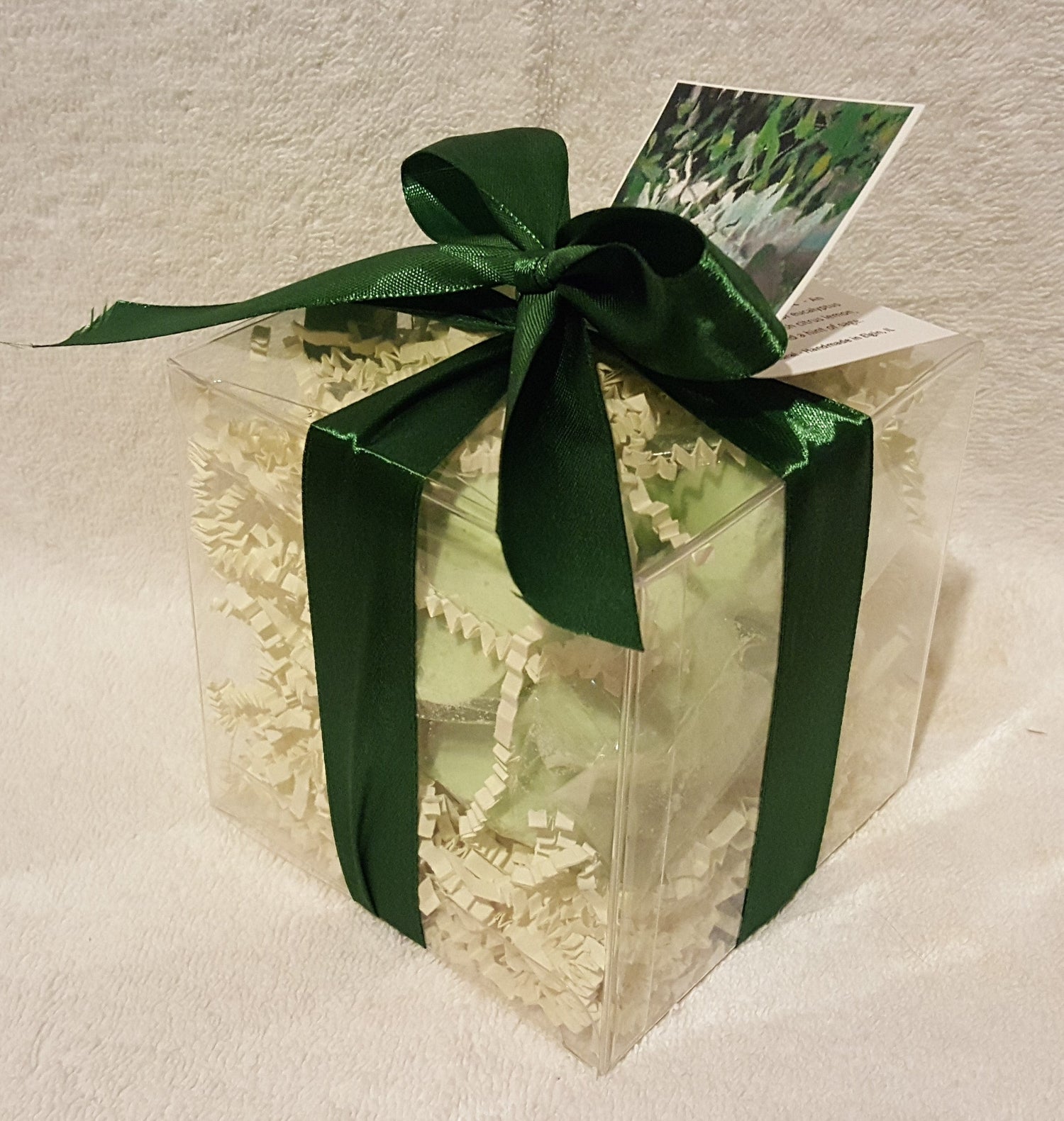Eucalyptus &amp; Spearmint 14-pack Bath Bomb Gift Set by Spa Pure
