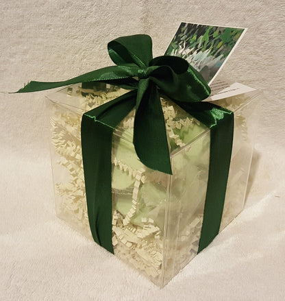 Eucalyptus &amp; Spearmint 14-pack Bath Bomb Gift Set by Spa Pure