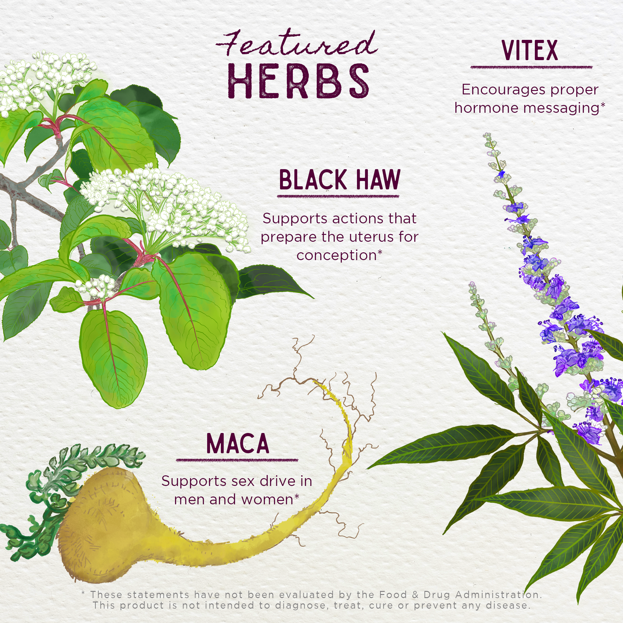 Fertility Prep, Conception Support by WishGarden Herbs