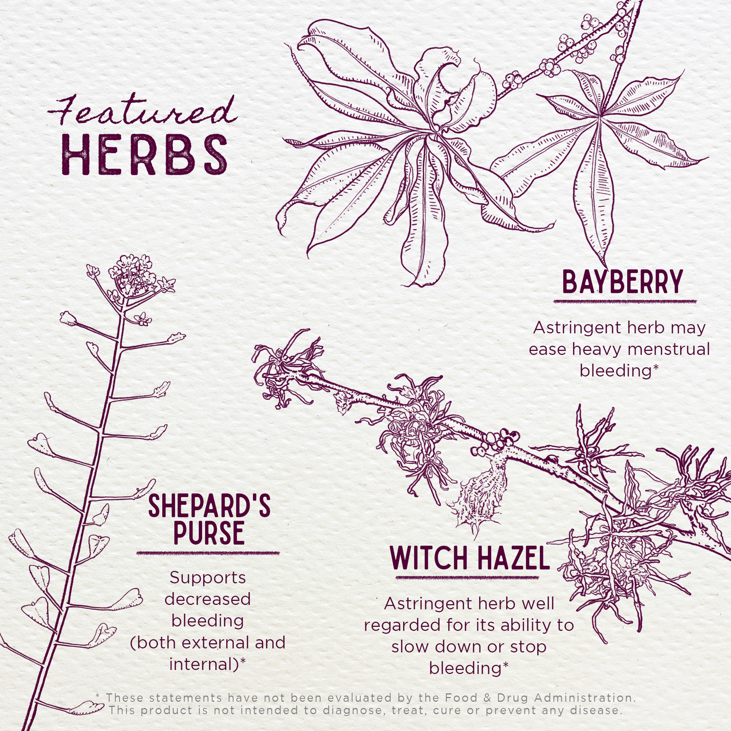 Flow Stopper, Lingering Cycle by WishGarden Herbs
