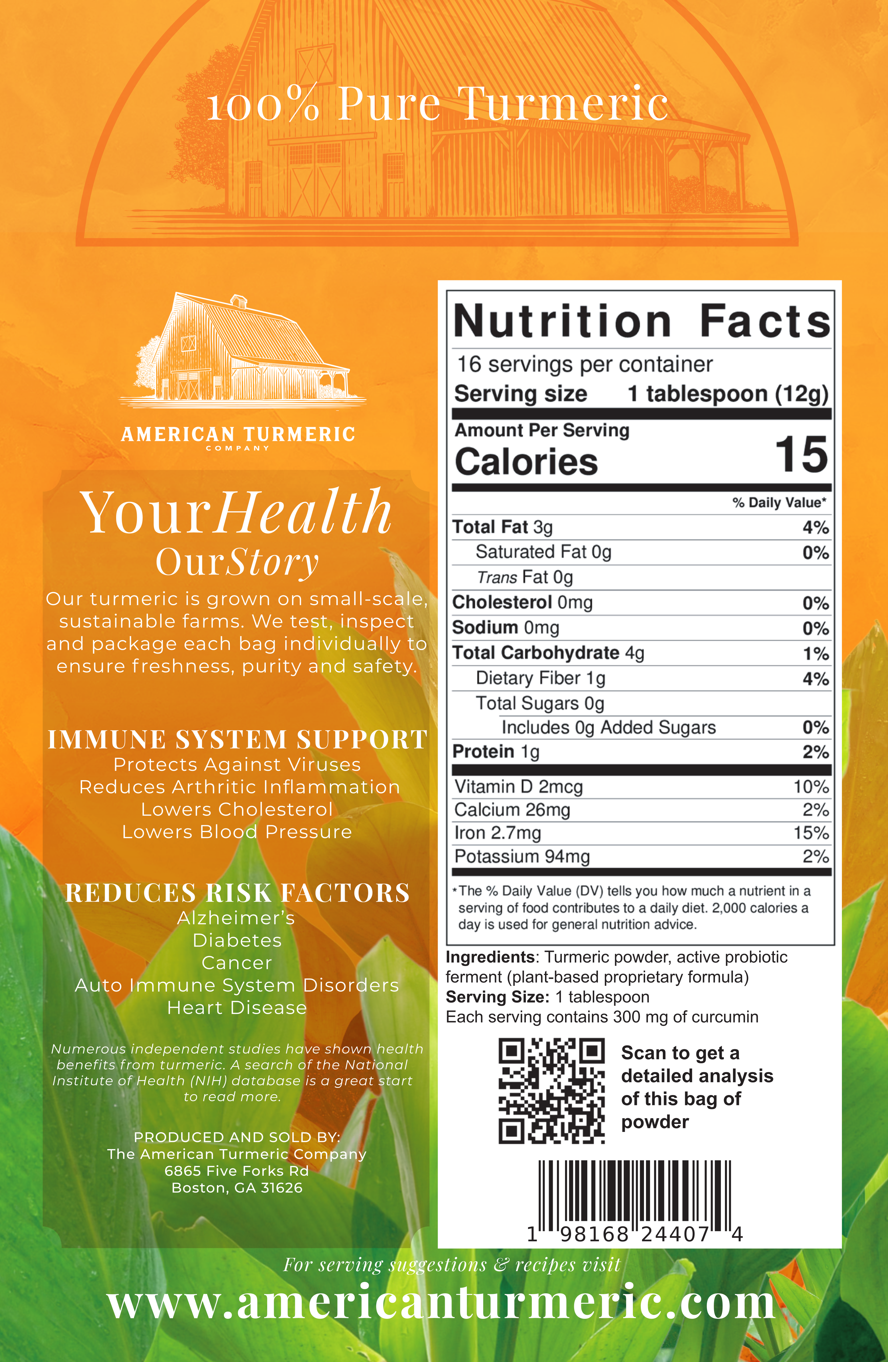 Fermented Turmeric &amp; Ginger Powder Bundle – Synergistic Clean Wellness