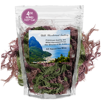 Pure Certified Wild Harvested Full Spectrum Organic Raw Sea Moss by Seamoss Global