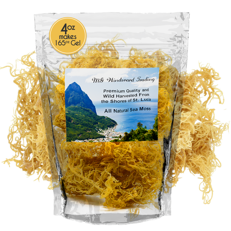 Certified Pure Wild Harvested Organic Gold Raw Sea Moss by Seamoss Global