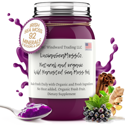 Fresh Elderberry Ginger Cinnamon Infused Sea Moss Gel by Seamoss Global