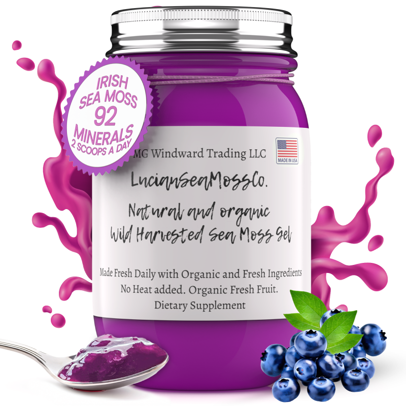Fresh Organic Blueberry Infused Sea Moss Gel by Seamoss Global